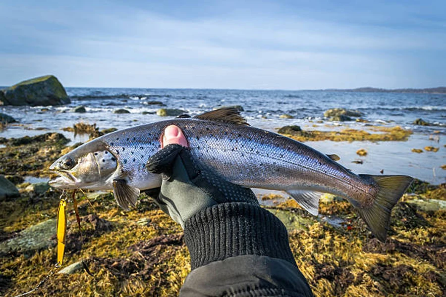 Guante para pesca